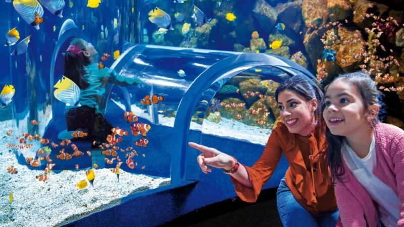 Tenerife: Gran Canaria Full-Day Guided Tour with Aquarium - Tenerife to Gran Canaria: An Exciting Day Trip
