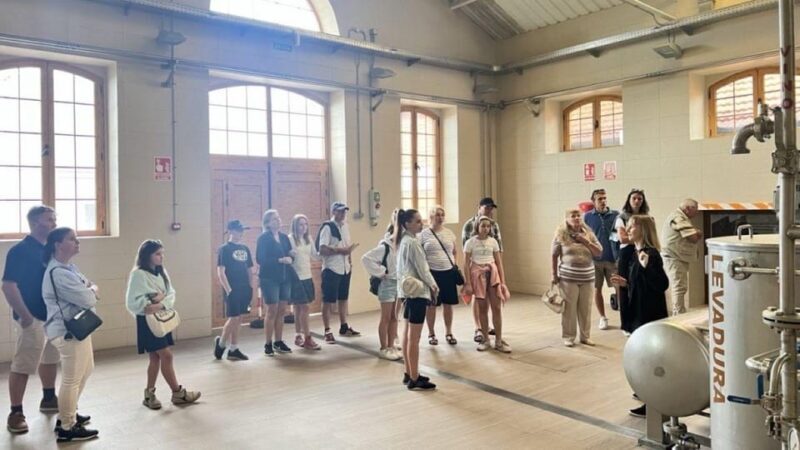 Tenerife: Gran Canaria Full-Day Guided Tour with Aquarium - Final Thoughts: Is This Tour Right for You?