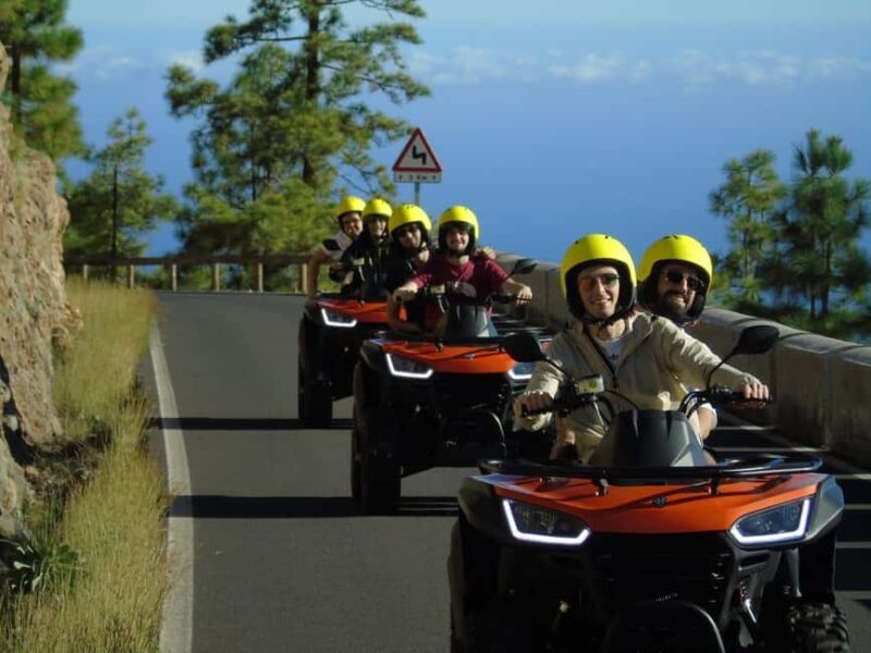 Tenerife Guide Quad Bike Tour Teide National Park - Who Should Consider This Tour?