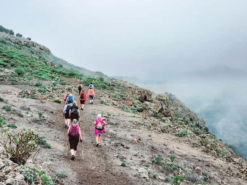 Tenerife Guided Hike: Teno Highlands & Lunar Landscape - Key Points
