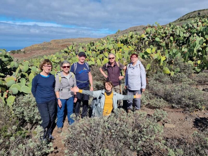 Tenerife Guided Hike: Teno Highlands & Lunar Landscape - Who Would Enjoy This Tour?