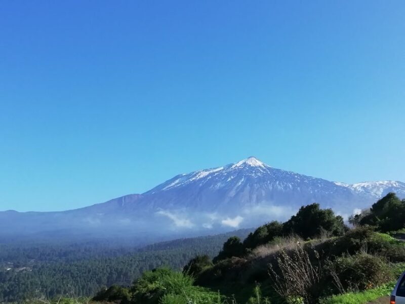 Tenerife: Guided Horseback Riding Tour to the Lomo Forest - A Detailed Look at the Horseback Riding Experience in Tenerife