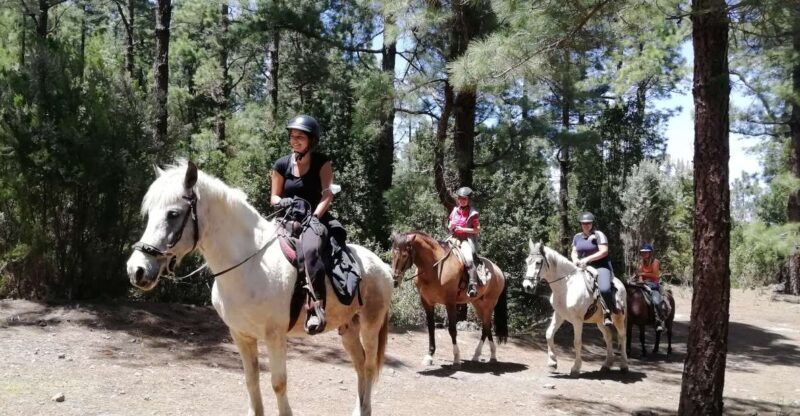 Tenerife: Guided Horseback Riding Tour to the Lomo Forest - FAQ
