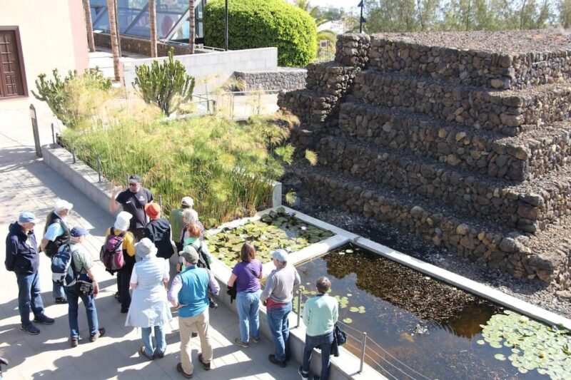 Tenerife: Guided tour at Pirámides de Güímar - The Experience and What Stands Out