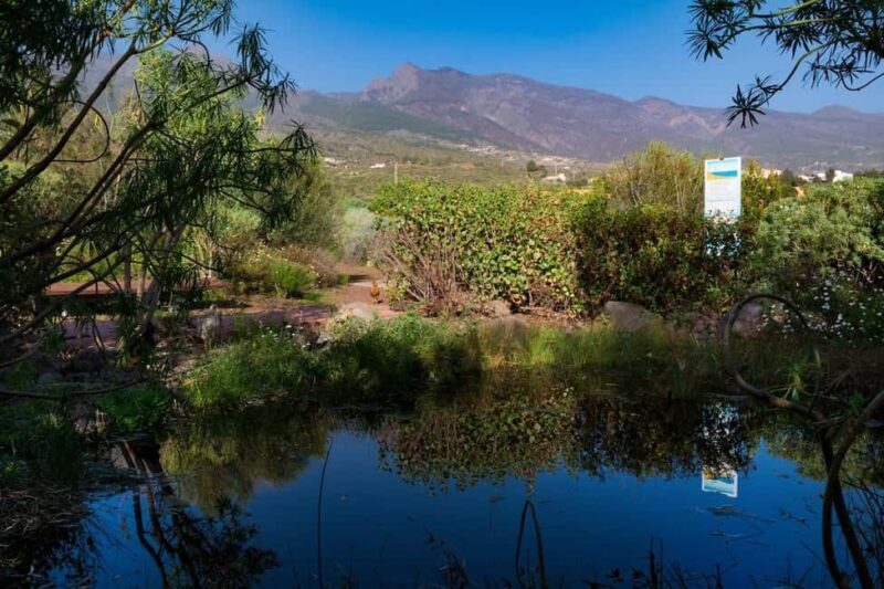 Tenerife: Guided tour at Pirámides de Güímar - The Sum Up