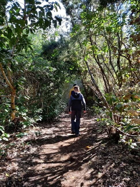 Tenerife: Guided tour guide in the Anaga Rural Park - What You Can Expect on the Tour