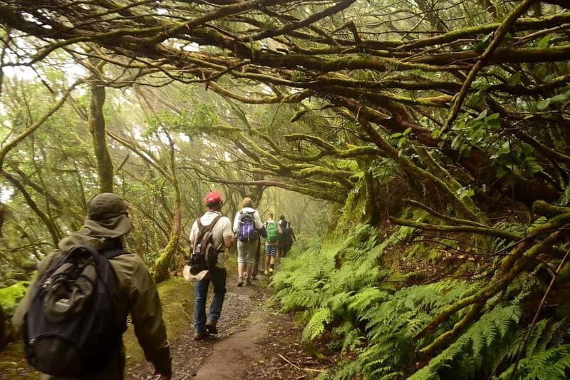 Tenerife: Guided tour guide in the Anaga Rural Park - FAQ