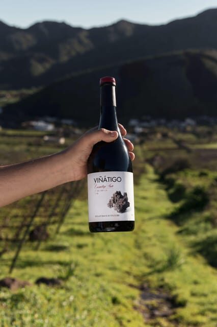 Tenerife: Guided tour with tasting of 6 wines - What Reviewers Say