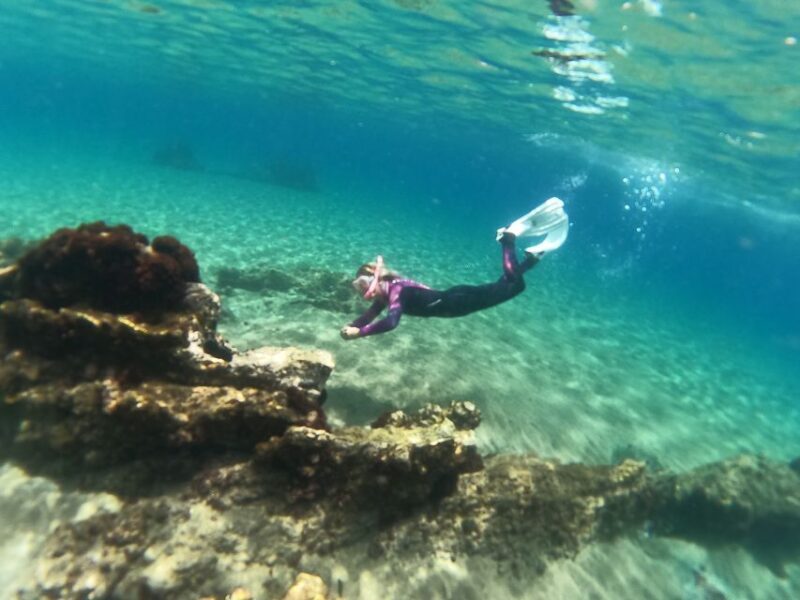 Tenerife: Half-Day Snorkeling Tour - Tenerife: Half-Day Snorkeling Tour