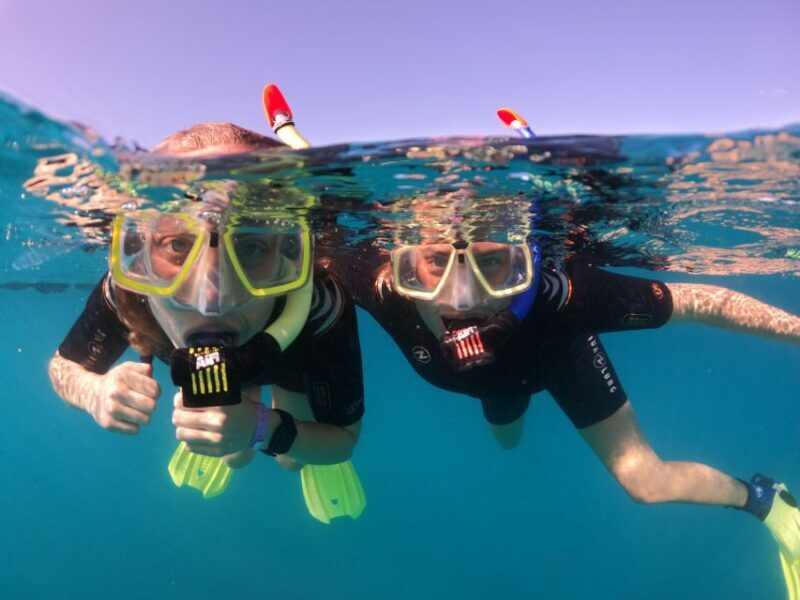 Tenerife: Half-Day Snorkeling Tour - Why This Tour Works for Travelers
