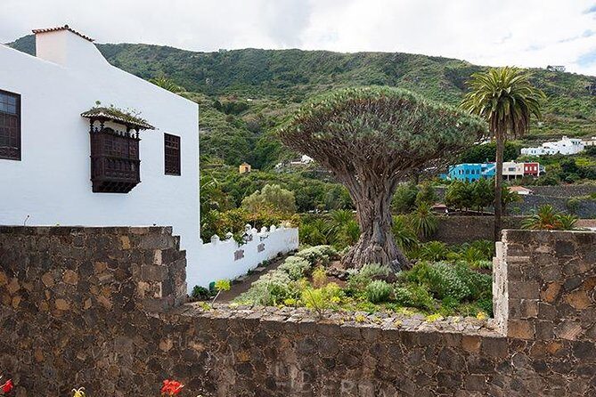 Tenerife Highlights Full-Day Tour - Final Thoughts: Is This Tour for You?