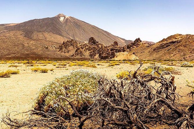 Tenerife Highlights Full-Day Tour - FAQ