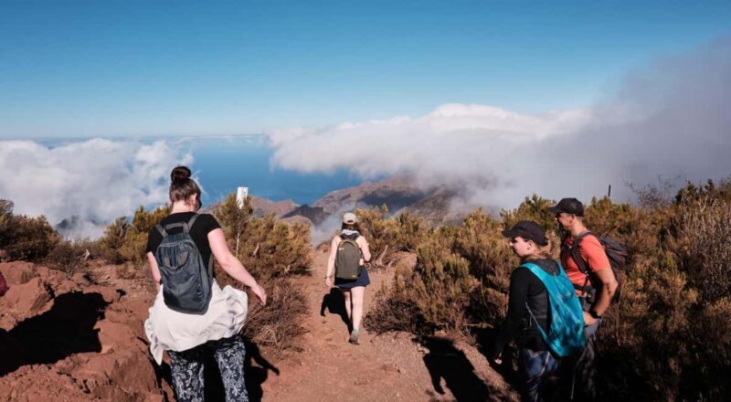 Tenerife: Hike Above Masca in Enchanted Forest with Pick-up - Tenerife: Hike Above Masca in Enchanted Forest with Pick-up — A Guide to Authentic Natural Beauty