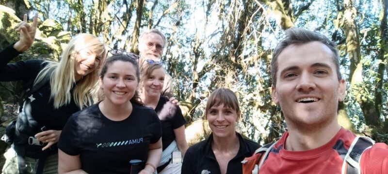 Tenerife: Hike Above Masca in Enchanted Forest with Pick-up - Who Will Love This Tour?