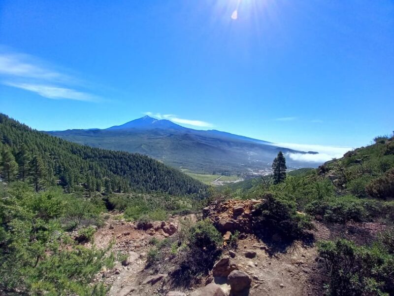 Tenerife: Hiking Above the Village of Masca - FAQ