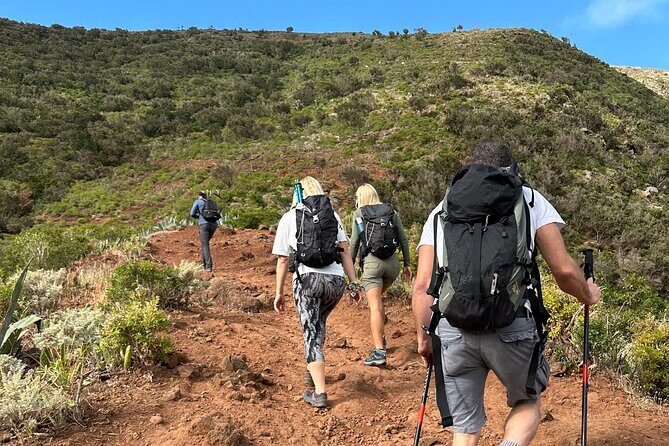 Tenerife: Hiking Tour in Anaga Mountains & Enchanted Forest - An In-Depth Look at the Tenerife Hiking Experience
