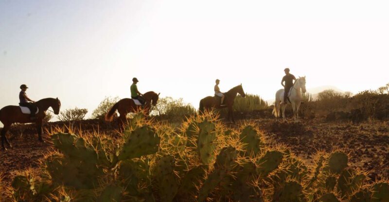 Tenerife: Horseback Ride with Instructor - An Honest Look at What to Expect