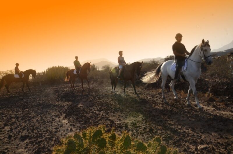 Tenerife: Horseback Ride with Instructor - The Sum Up