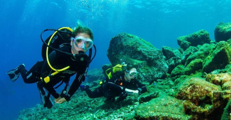 Tenerife: Introductory Dive for Cruise Ship Passengers - An In-Depth Look at the Experience