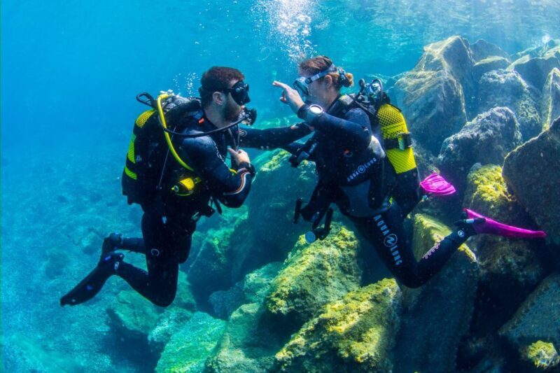 Tenerife: Introductory Dive for Cruise Ship Passengers - Final Thoughts