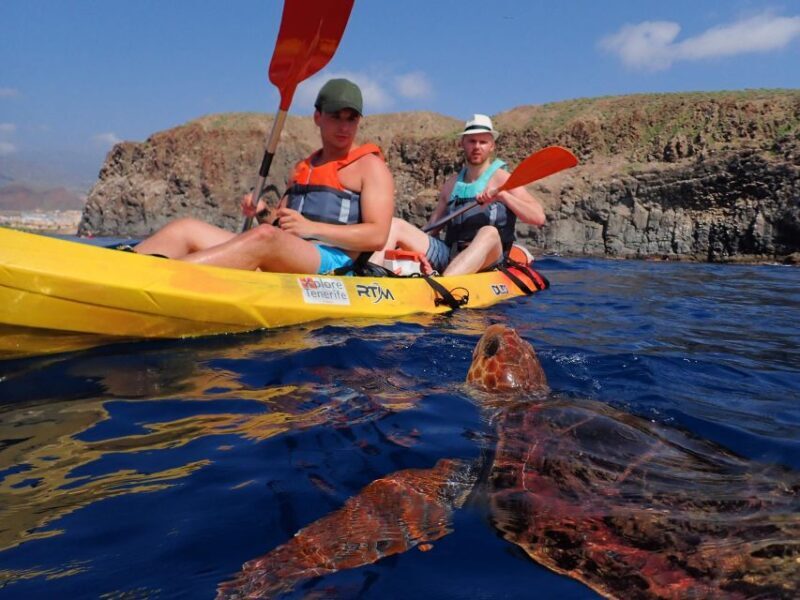 Tenerife: Kayak and Snorkel with Turtles with Free Videos - What Makes This Tour Unique?