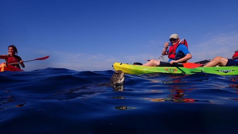 Tenerife: Kayak and Snorkel with Turtles with Free Videos - Why It’s Worth the Price