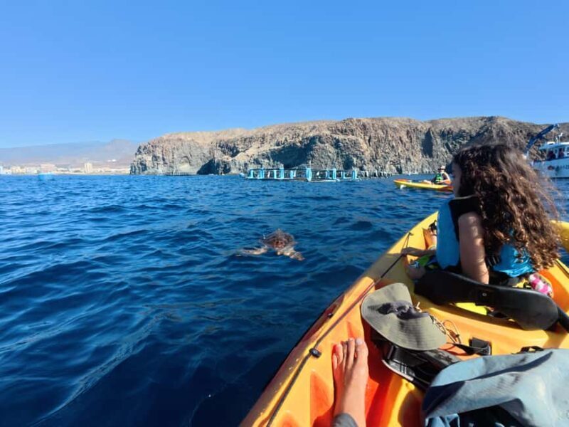 Tenerife: Kayak Sea Safari with Snorkel and Snacks - Final Thoughts