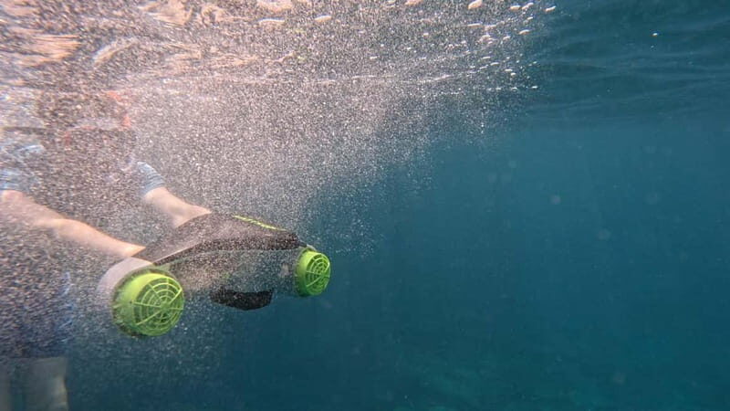 Tenerife: kayak tour with animals and underwater scooters - The Value: What You’re Getting for Your Money