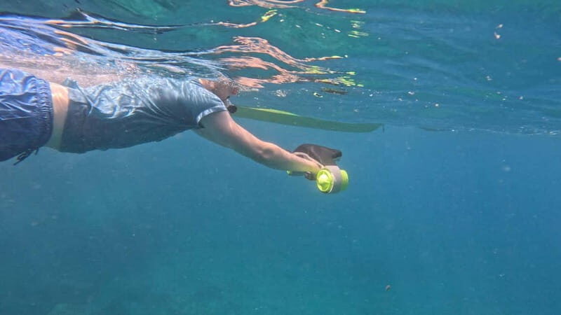 Tenerife: kayak tour with animals and underwater scooters - Who Should Consider This Tour?