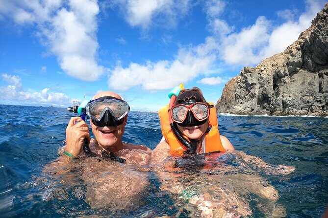 Tenerife: Kayaking and snorkeling, snacks, photos and marine life safari - Key Points