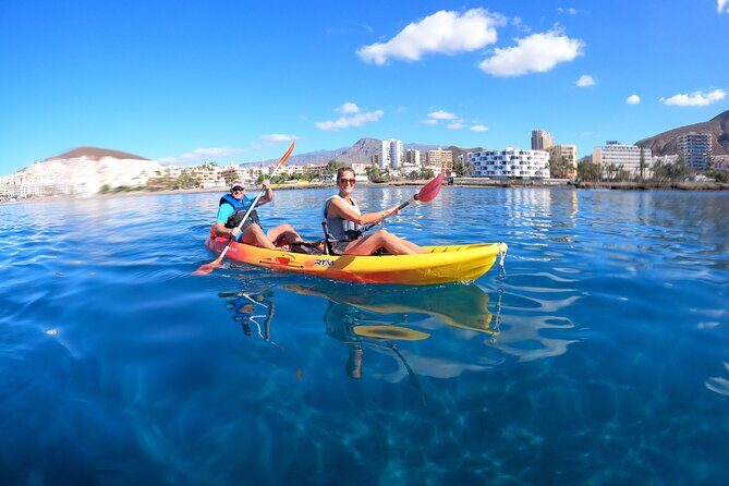 Tenerife: Kayaking and snorkeling, snacks, photos and marine life safari - An In-Depth Look at What You Can Expect