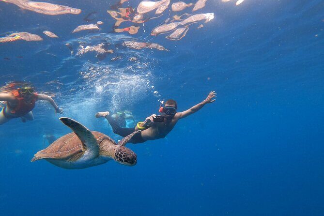 Tenerife: Kayaking and snorkeling, snacks, photos and marine life safari - FAQ
