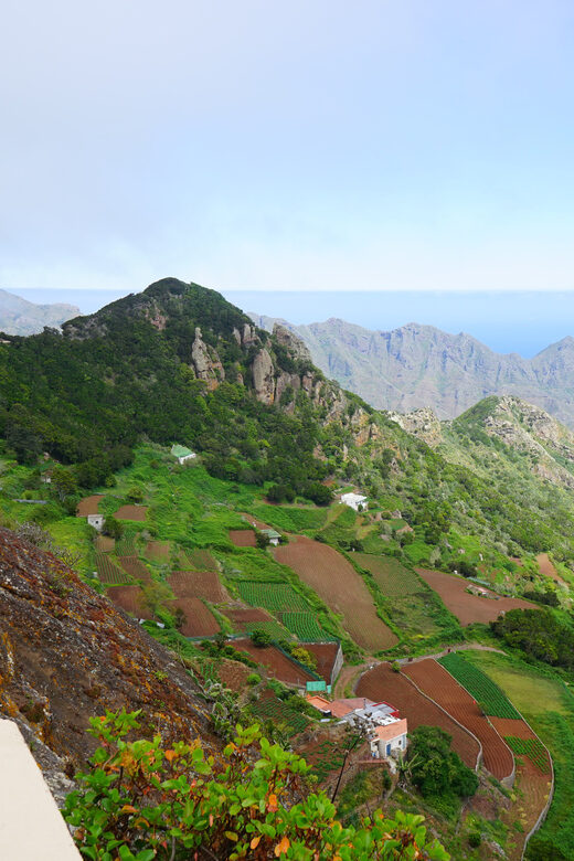 Tenerife: La Laguna & Anaga hike - A Closer Look at the Tenerife: La Laguna & Anaga hike