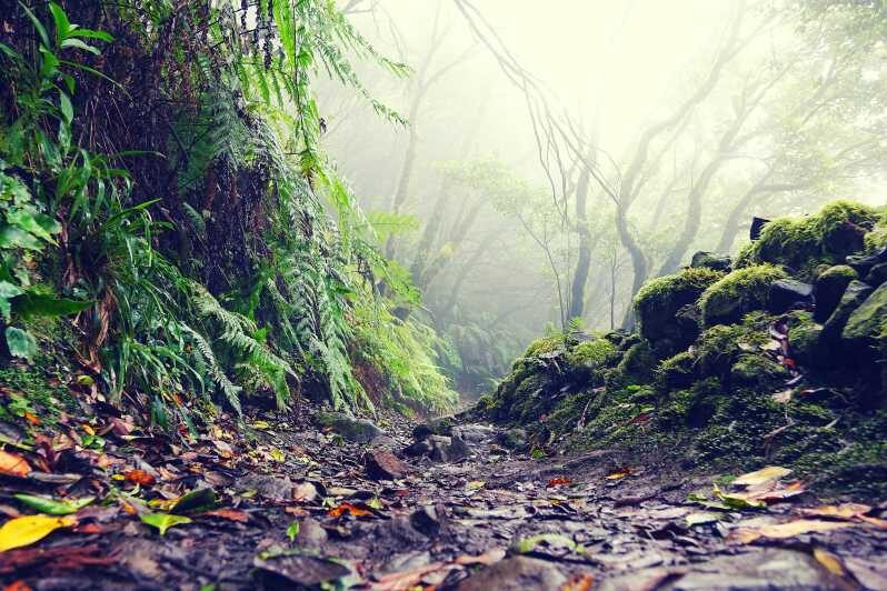 Tenerife: La Laguna & Anaga hike - Who is this tour best for?
