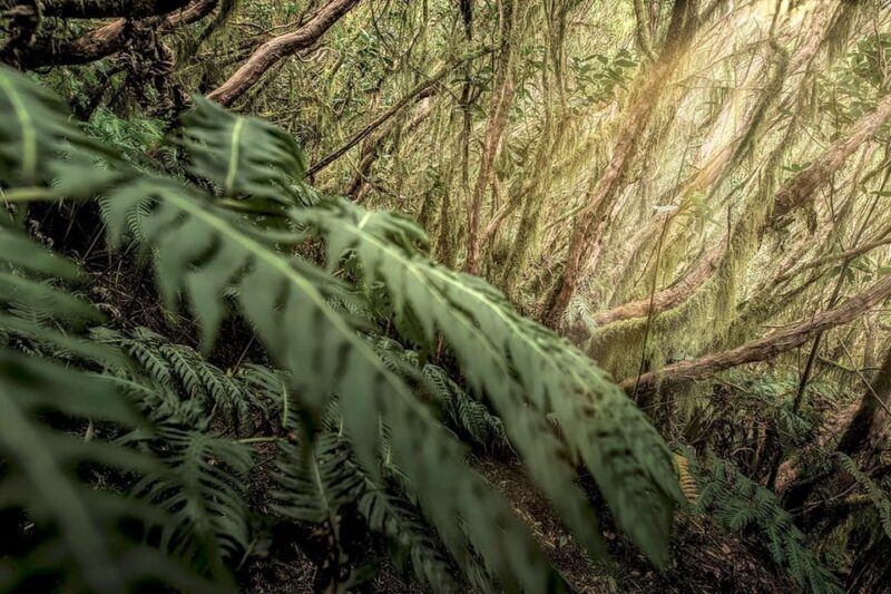 Tenerife: Landscape Photography Workshops, 10 hrs. - FAQs