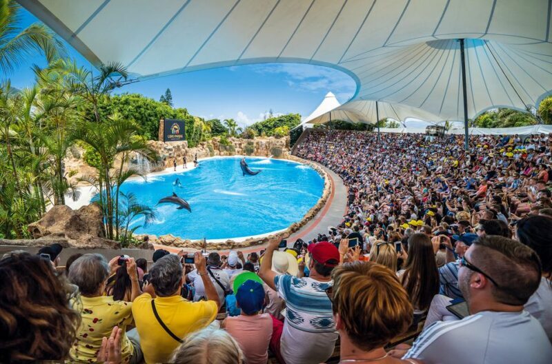 Tenerife: Loro Parque Entry Ticket - Why This Experience Delivers Value