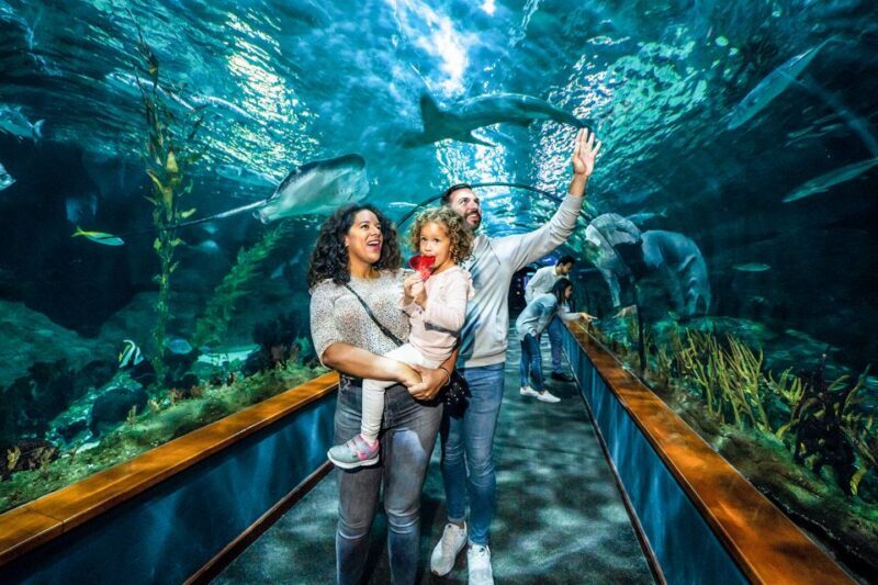 Tenerife: Loro Parque Entry Ticket - Practical Tips for Visiting Loro Parque