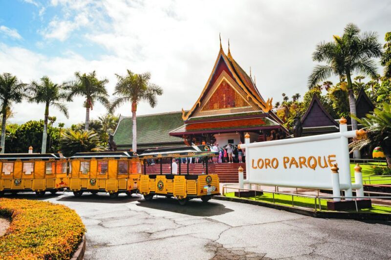 Tenerife: Loro Parque & Siam Park Entry Ticket with Transfer - Exploring the Experience: What to Expect at Each Park