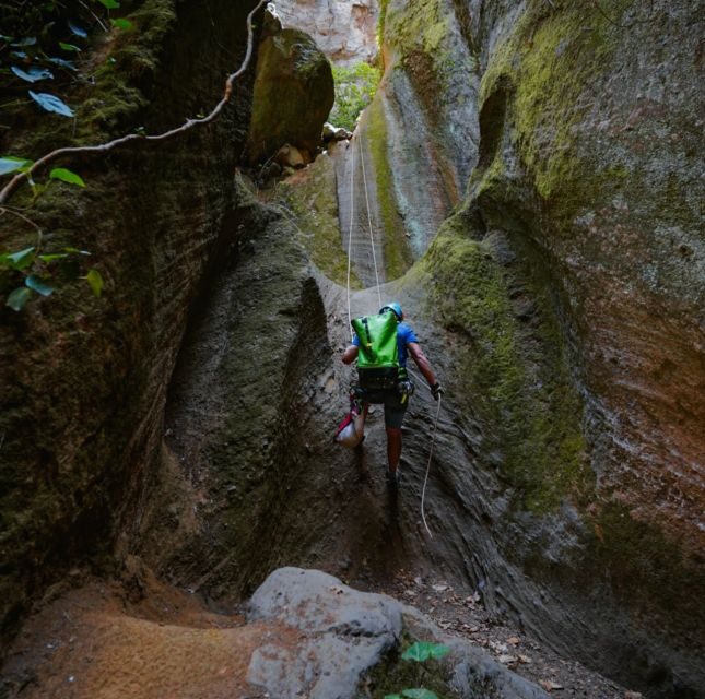 Tenerife: Los Arcos Canyoning Tour with Guide - Why This Tour Offers Great Value