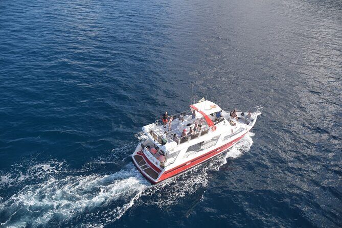 Tenerife Los Cristianos: Whale and Dolphin Eco-Yacht and Swim Stop - The Pros and Cons: A Realistic View