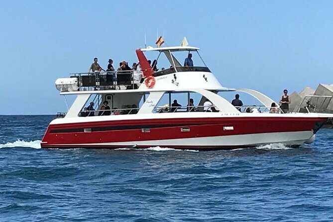 Tenerife Los Cristianos: Whale and Dolphin Eco-Yacht and Swim Stop - FAQ: Your Practical Questions Answered