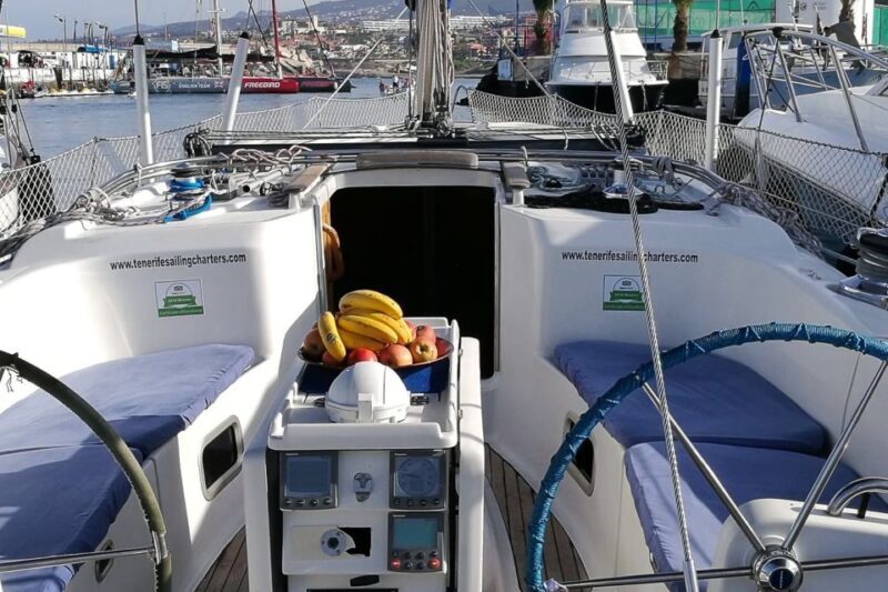 Tenerife: Luxury Private Whale & Dolphin Watching Tour - Why Travelers Love This Tour
