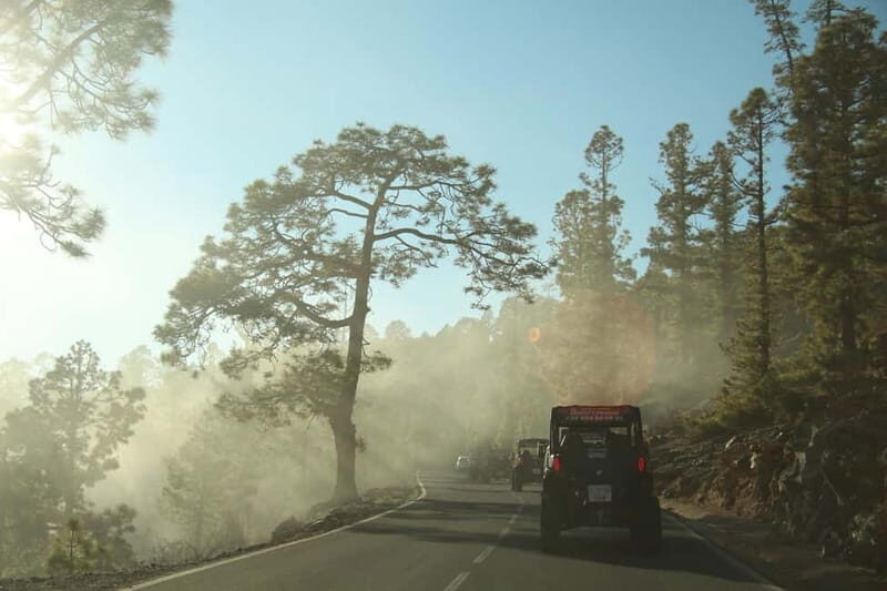 Tenerife: MORNING - 3H Buggy tour of Teide - An In-Depth Look at the 3-Hour Buggy Tour