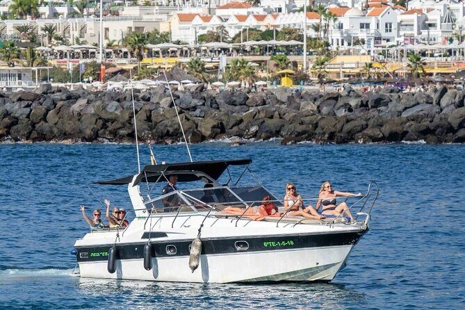 Tenerife Motor Boat Whale Watching & Snorkeling Experience - A Detailed Look at the Tenerife Whale Watching & Snorkeling Tour