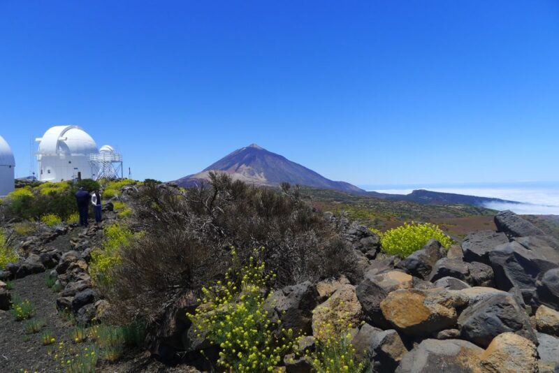 Tenerife: Mount Teide Observatory Astronomical Tour - Final Thoughts