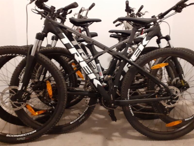 Tenerife: Mountain Bike Rental with Hotel Delivery - Authentic Experiences and Traveller Insights