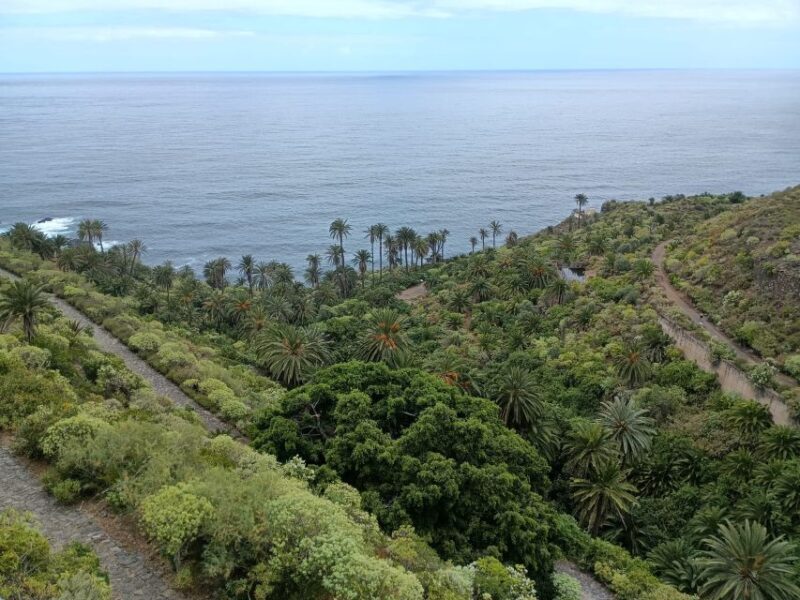 Tenerife: North Coast Landscapes Private Day Tour - Exploring Tenerife’s North Coast: An Honest Look