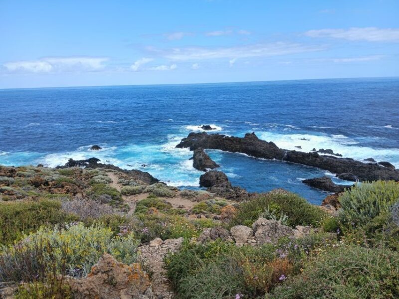 Tenerife: North Coast Landscapes Private Day Tour - What We Think About the Experience