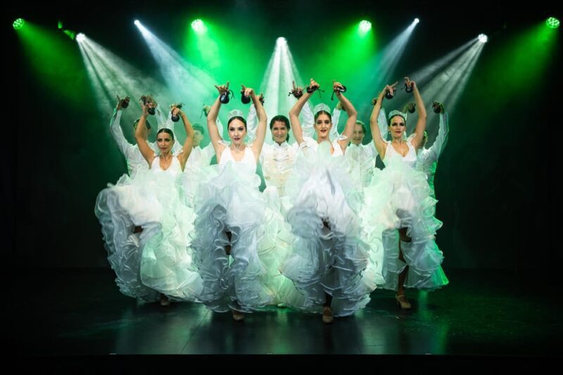 Tenerife : Olé Flamenco Show by Fran Chafino Ticket - Key Points