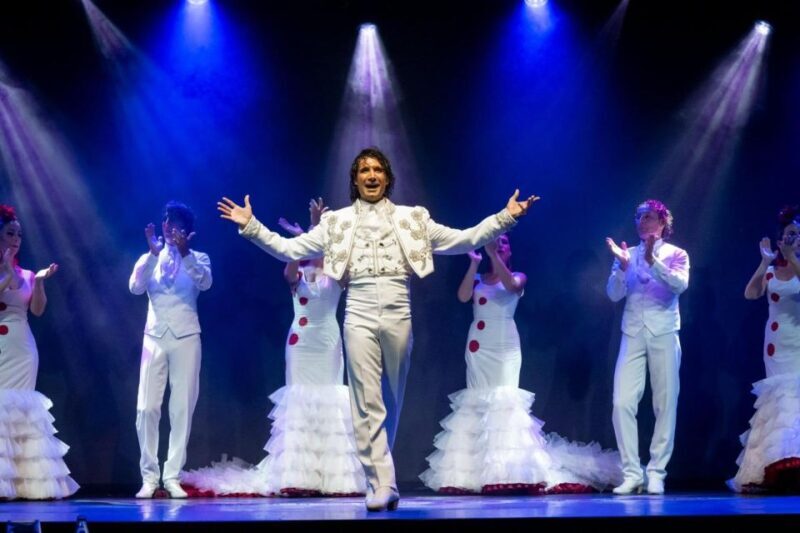 Tenerife : Olé Flamenco Show by Fran Chafino Ticket - Who Should Consider This Experience?